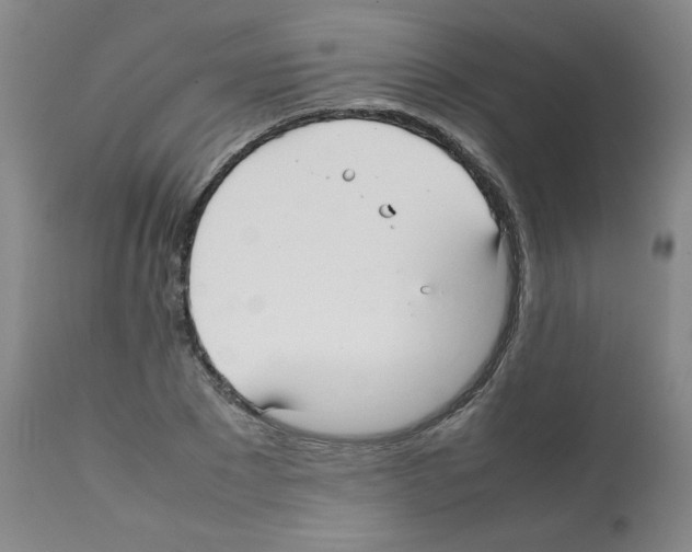 X0000112070881200909151046