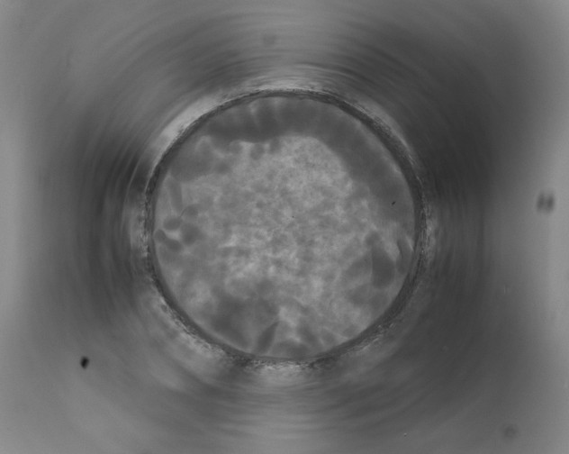 X0000112070882200909151046