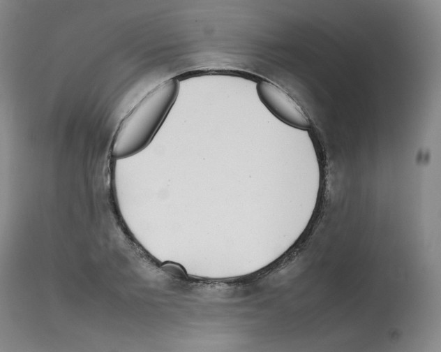 X0000112070885200909151046