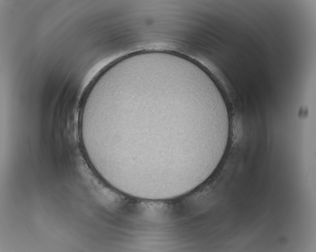 X0000112070886200909151046