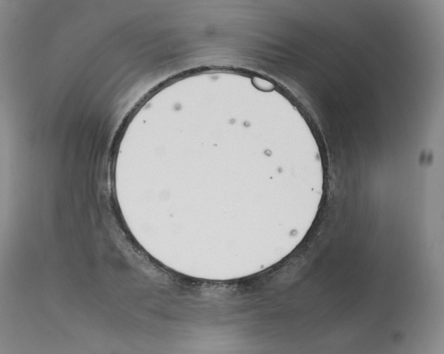 X0000112070887200909151046