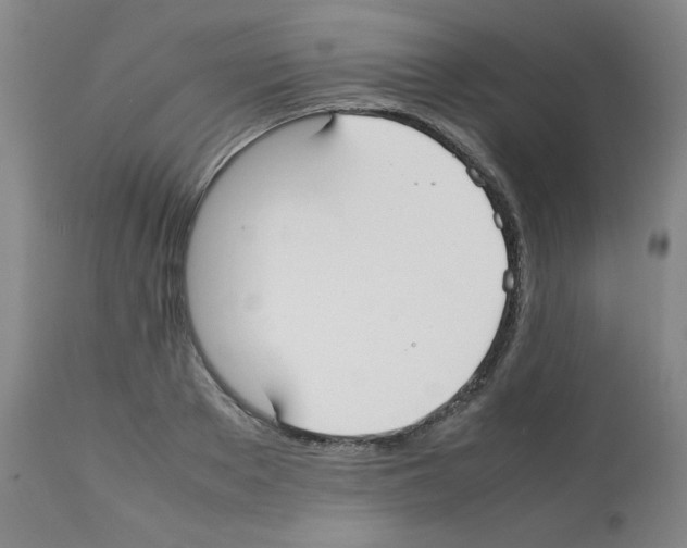 X0000112070889200909151046