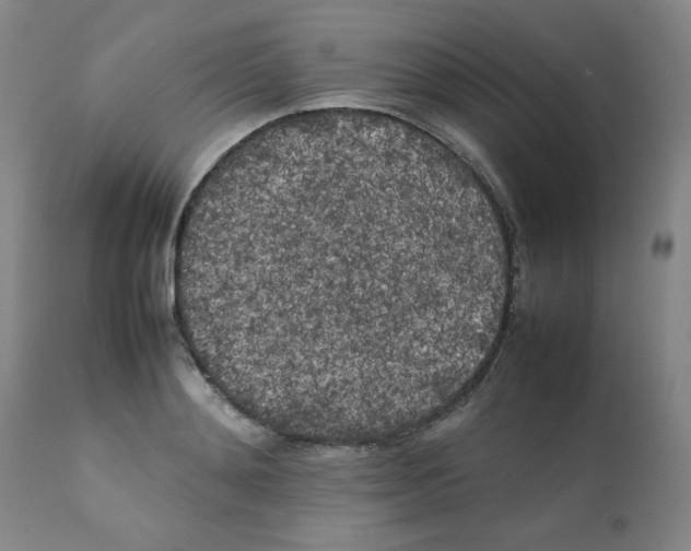 X0000112070892200909151046