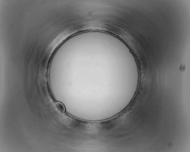 X0000112070893200909151046