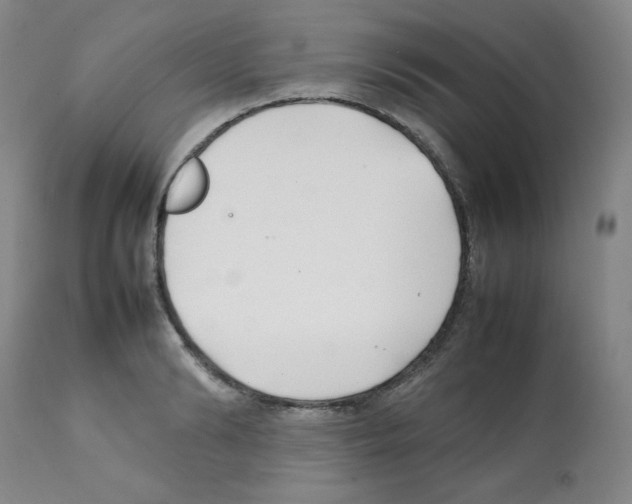 X0000112070894200909151046