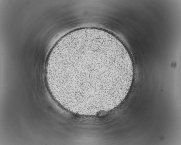 X0000112070895200909151046
