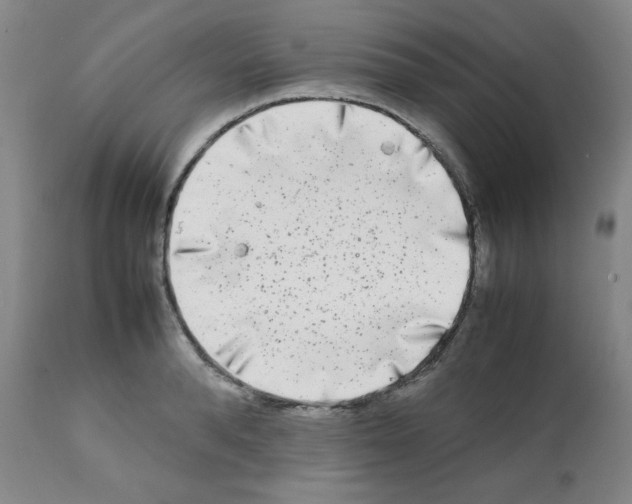 X0000112070896200909151046