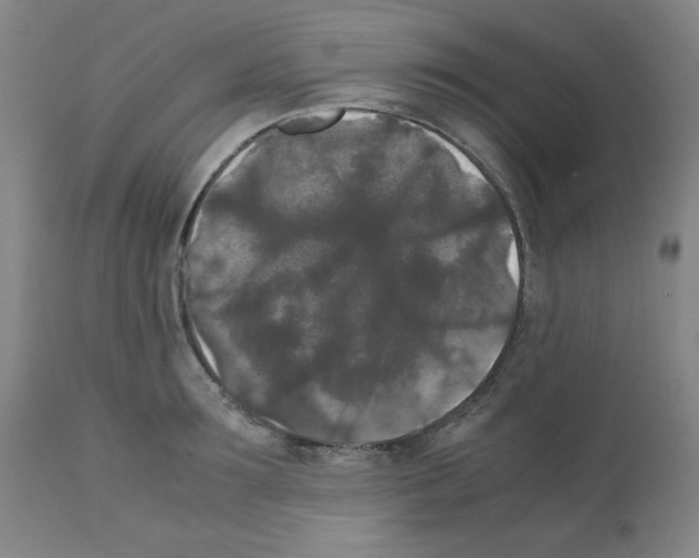 X0000112070899200909151046