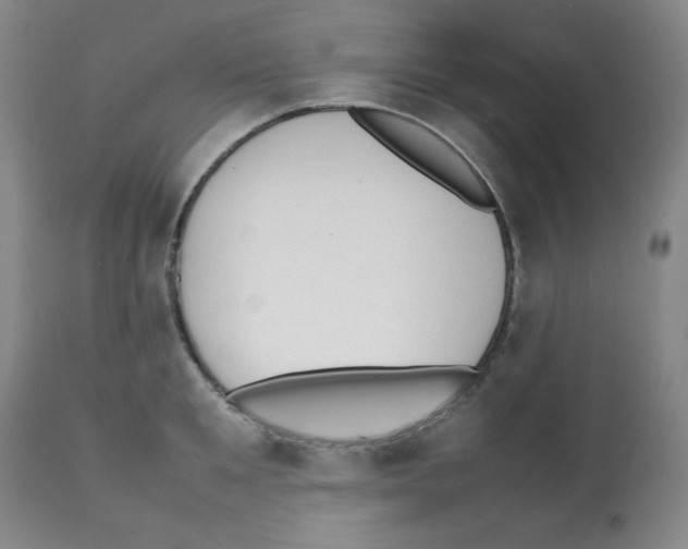 X0000112070901200909151046