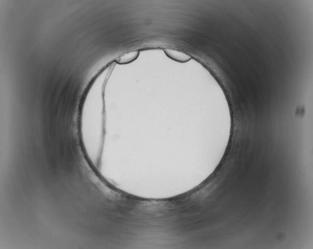 X0000112070902200909151046