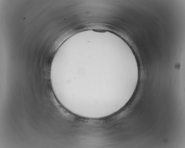 X0000112070905200909151046