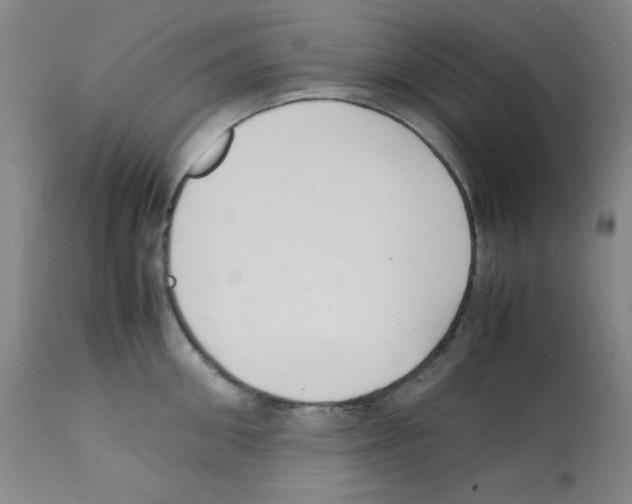 X0000112070906200909151046