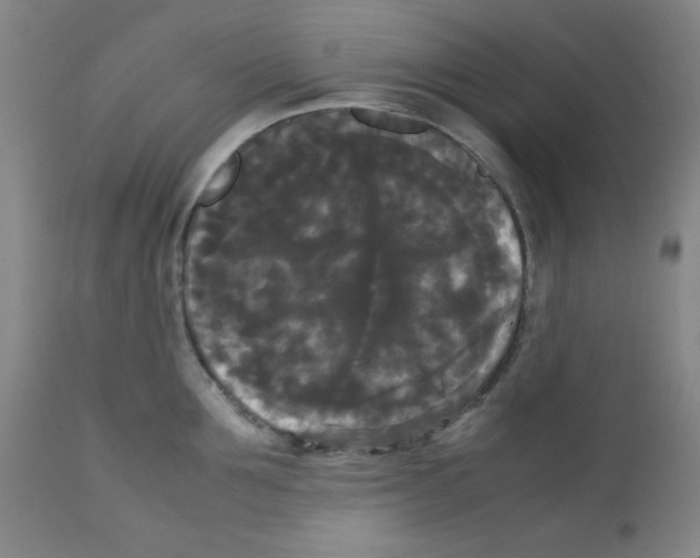 X0000112070907200909151046