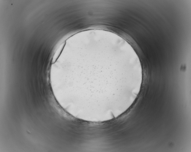 X0000112070908200909151046