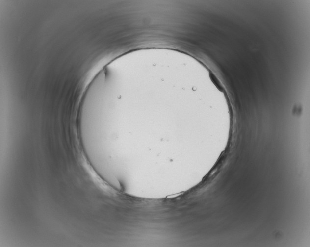 X0000112070909200909151046