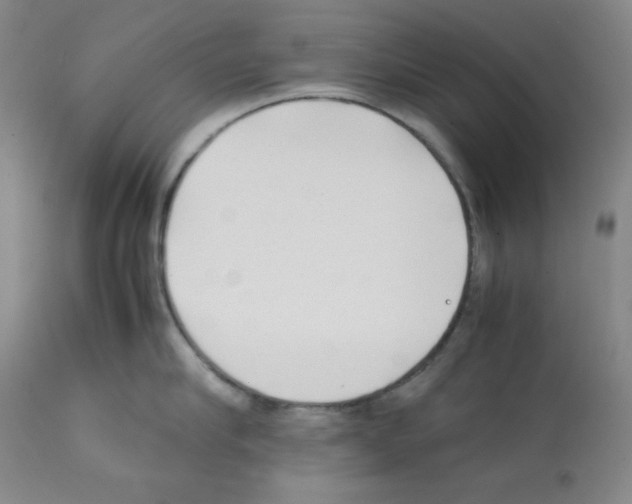 X0000112070910200909151046