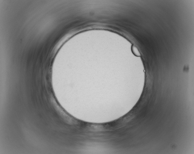 X0000112070911200909151046
