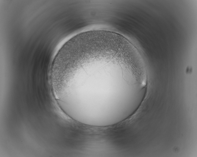 X0000112070912200909151046