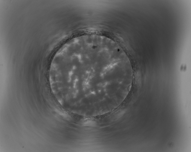 X0000112070913200909151045