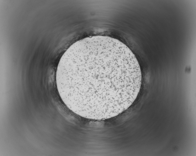 X0000112070914200909151045