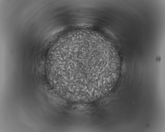 X0000112070917200909151045