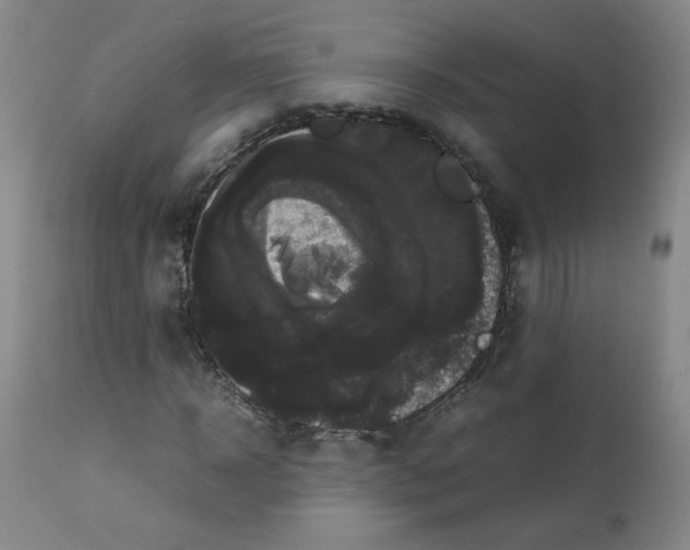 X0000112070918200909151045