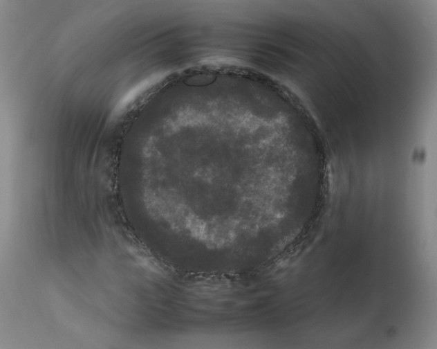 X0000112070919200909151045