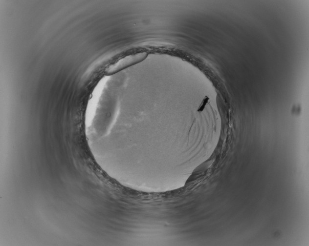 X0000112070920200909151045