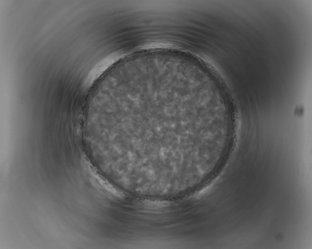X0000112070921200909151045