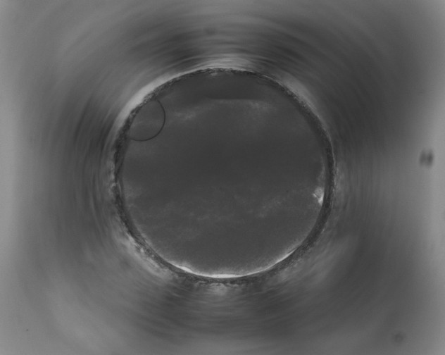 X0000112070923200909151045