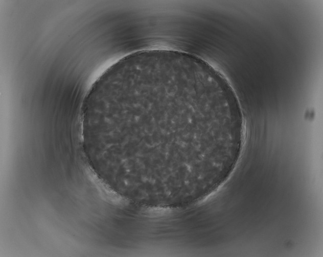 X0000112070925200909151045