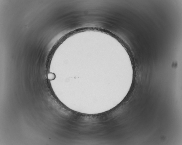 X0000112070927200909151045