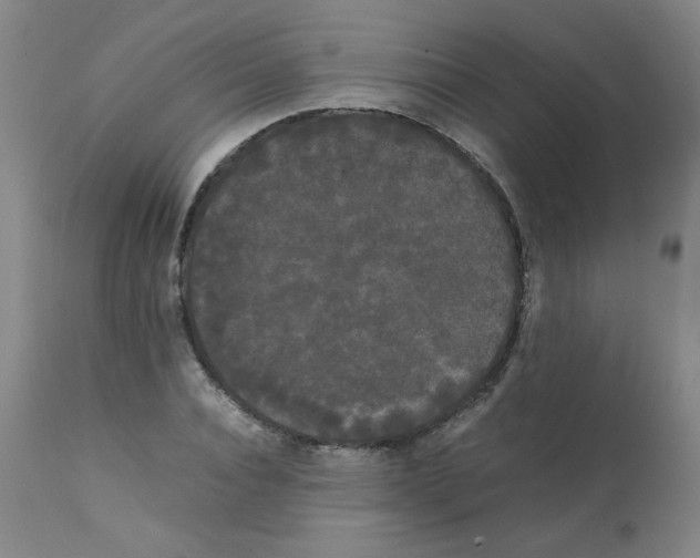 X0000112070928200909151045