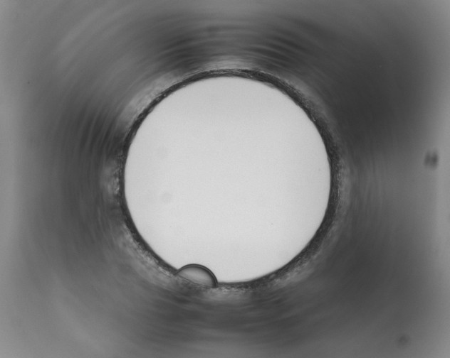 X0000112070929200909151045