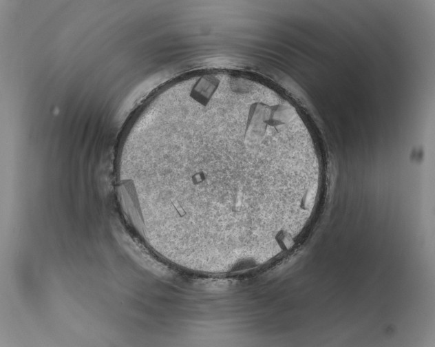X0000112070930200909151045