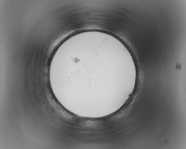 X0000112070933200909151045