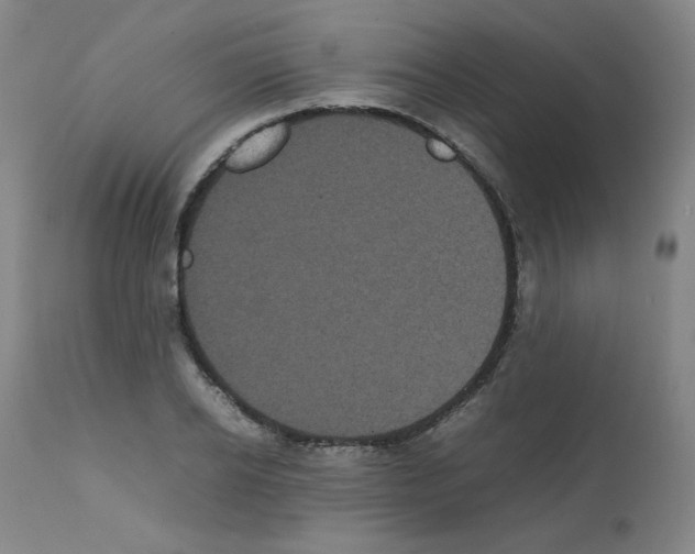 X0000112070934200909151045