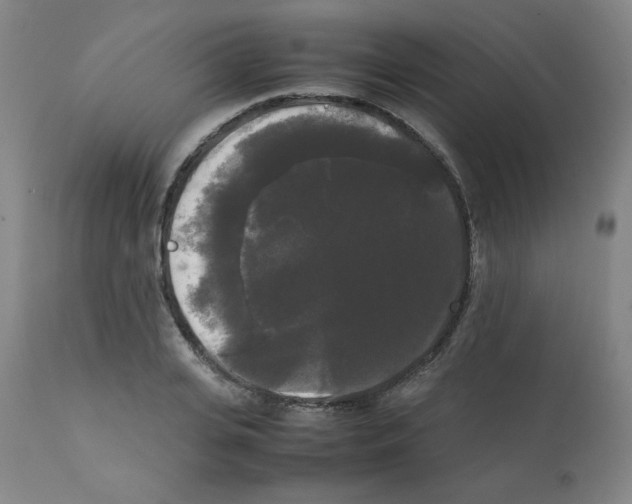 X0000112070935200909151045