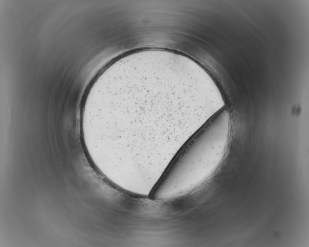 X0000112070940200909151045