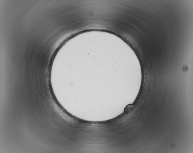 X0000112070942200909151045