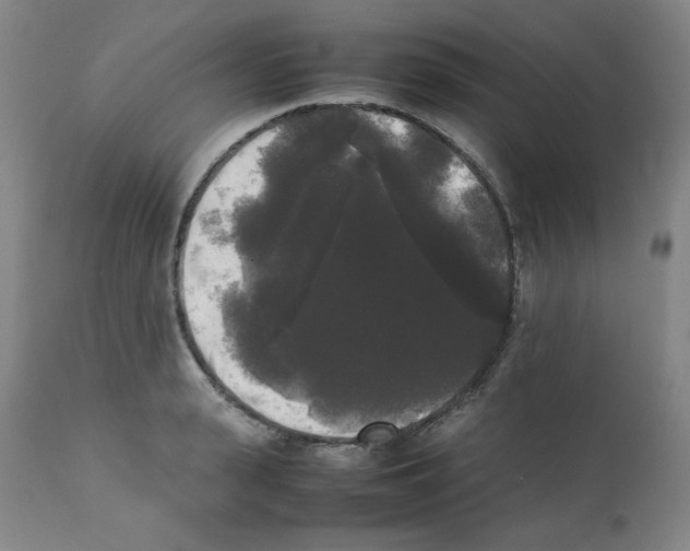 X0000112070943200909151045