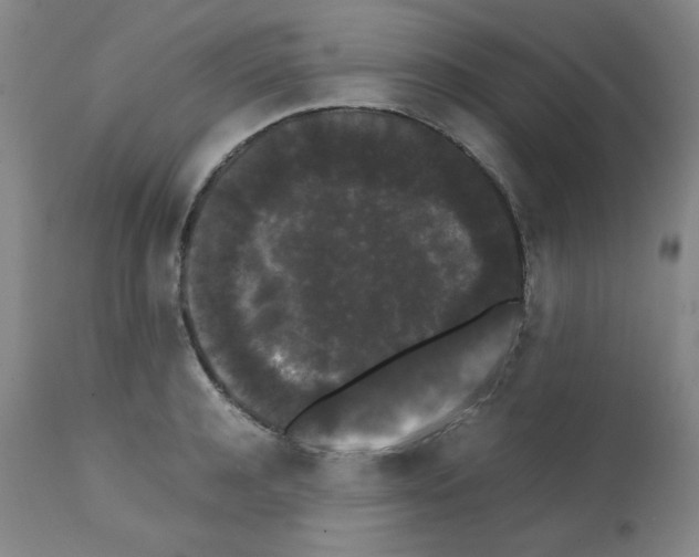 X0000112070944200909151045
