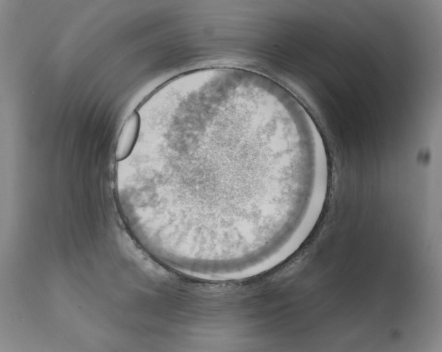 X0000112070948200909151045