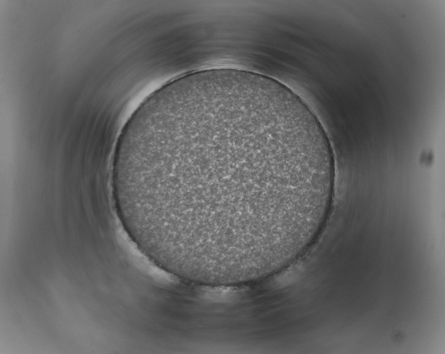 X0000112070949200909151045
