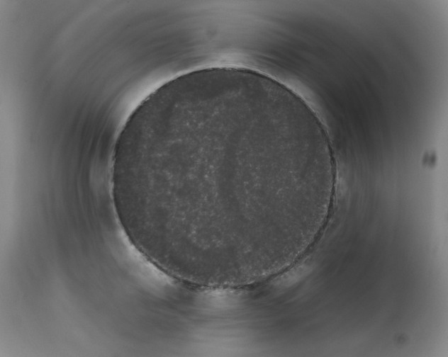 X0000112070950200909151045