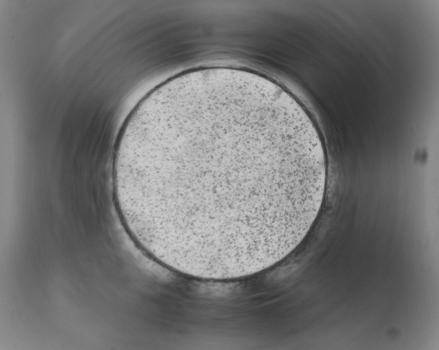 X0000112070951200909151045