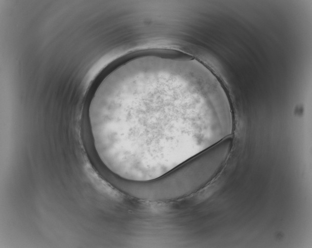 X0000112070952200909151045