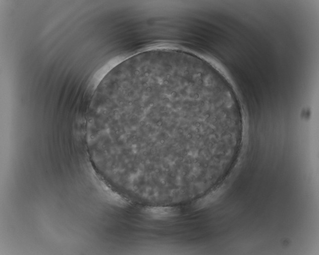 X0000112070953200909151045