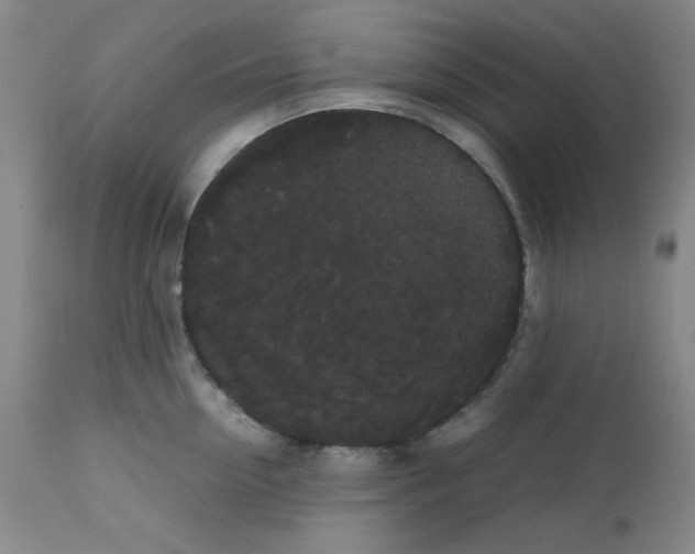 X0000112070954200909151045