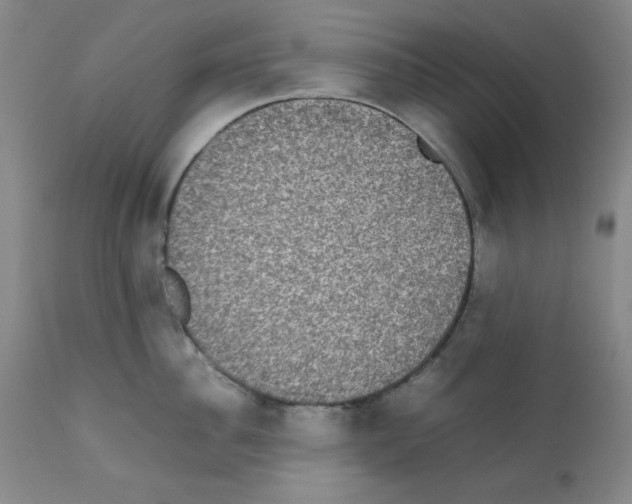 X0000112070956200909151045